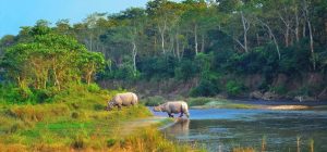 1777453096_Chitwan-1200x560 (1)