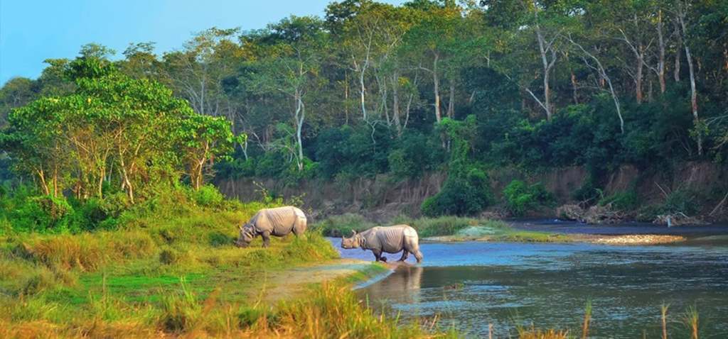 1777453096_Chitwan-1200x560 (1)