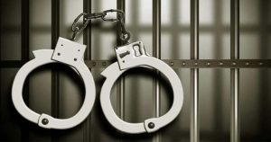 Arrestq-1735631732