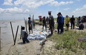 Sunsari--badha-1786248440