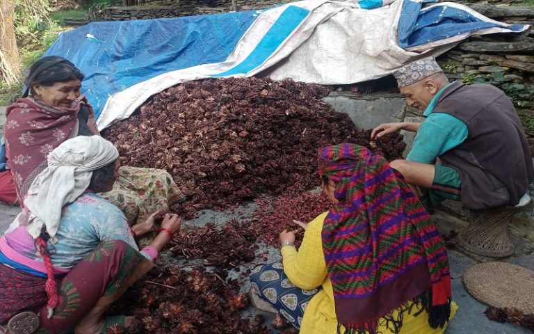 aliche_baglung_rLKxqBzouI (1)