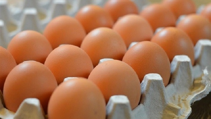 egg__final_BL2b5IuSl5