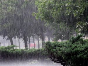 heavy_rain_6SzHqKcIyi