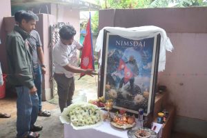 nims