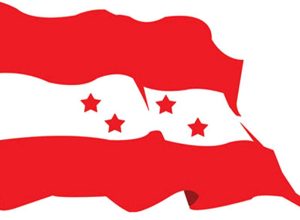 nepali_congress_flag_zP1BwtPExZ