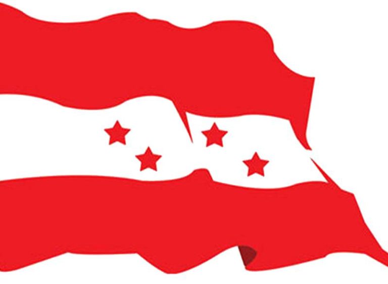 nepali_congress_flag_zP1BwtPExZ