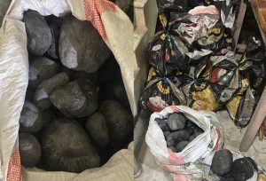 saligram_baramad