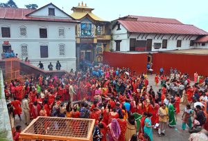 teej-2076-9-0292019064909_0KbwKCF1SJ